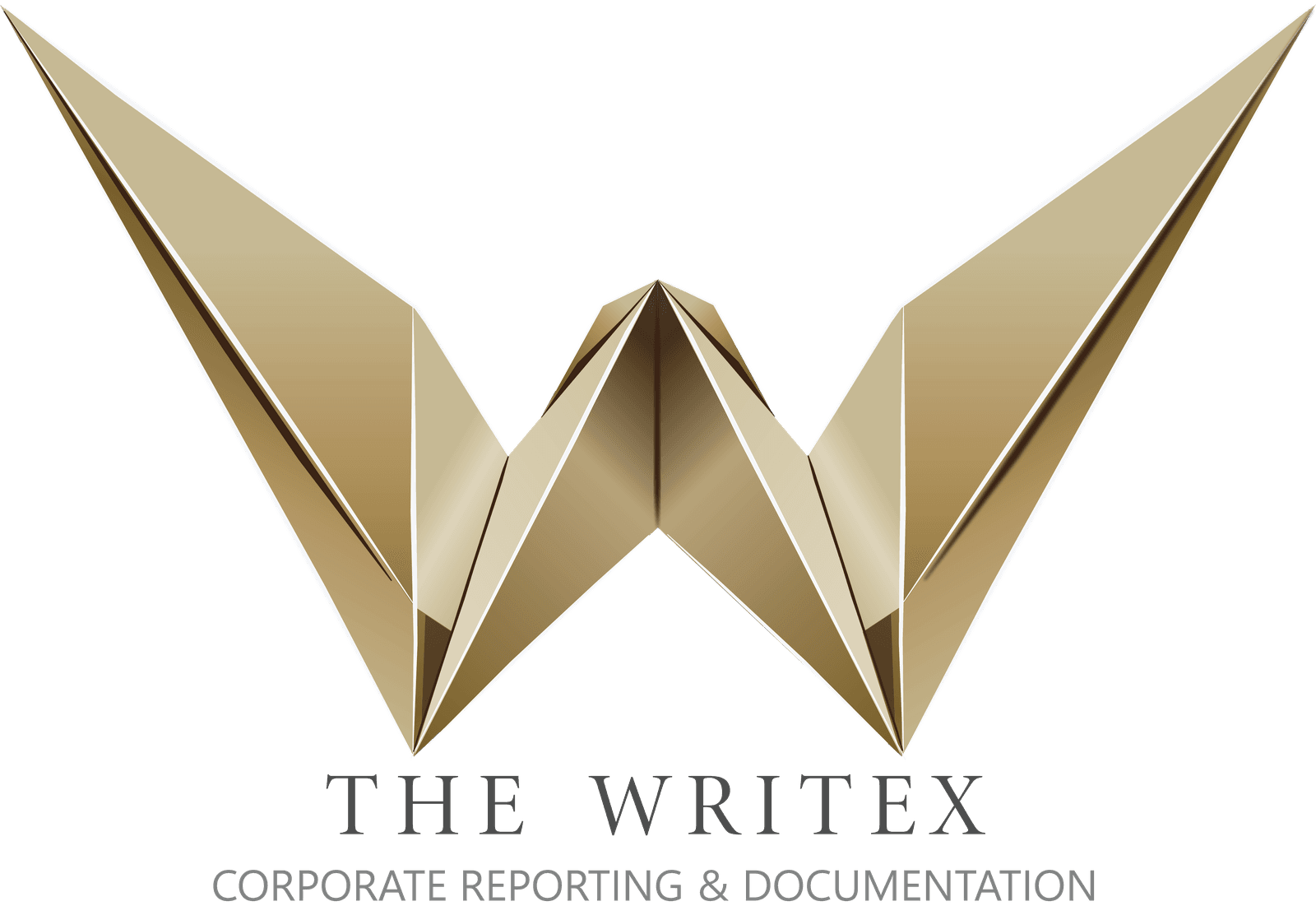 The WriteX - Corporate Reporting & Documentation